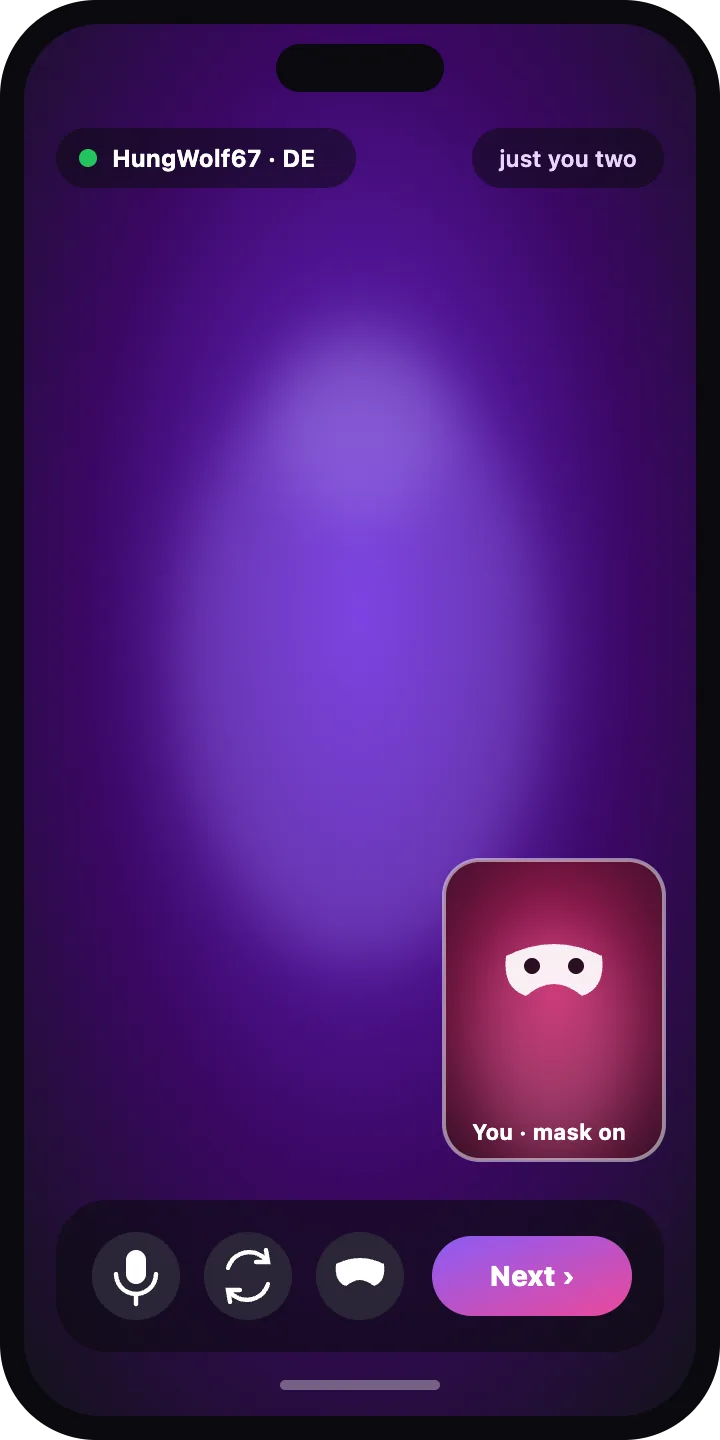 Live gay sex cam: cam to cam with a face mask and a Next button